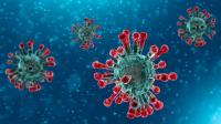 documenti/stTfs-coronavirus_grafica.jpg